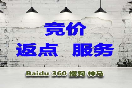 百度竞价排名案例分享：广告投放的技巧与误区