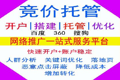 某企业SEM推广策略的调整与效果提升
